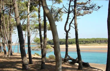 Camping Veillon Plage - image n°3 - Camping Direct