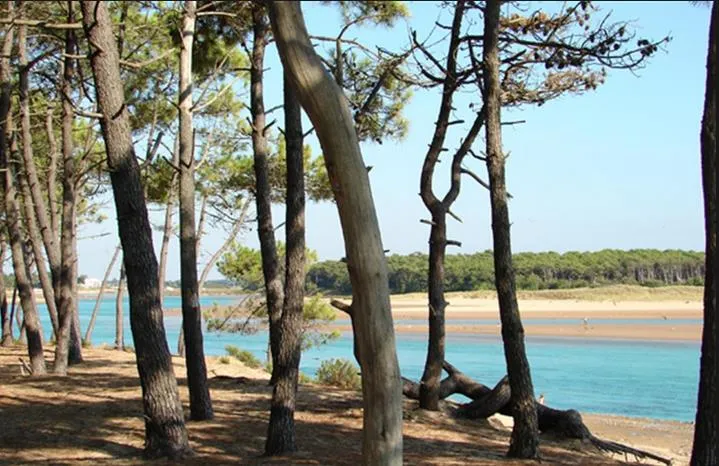 Camping Veillon Plage