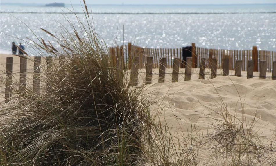 Camping La Mouette Rieuse