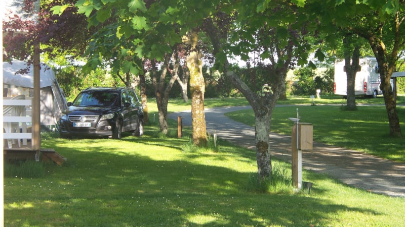 Stellplatz + Zelt oder Wohnwagen / Wohnmobil