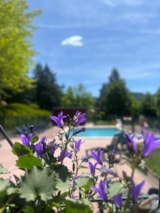 Foto #7 van Domaine Aigoual Cévennes