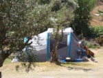 Accommodation - Equipped Tent - Camping Beirã-Marvão Alentejo Accommodation - Equipped Tent - Camping Beirã-Marvão Alentejo