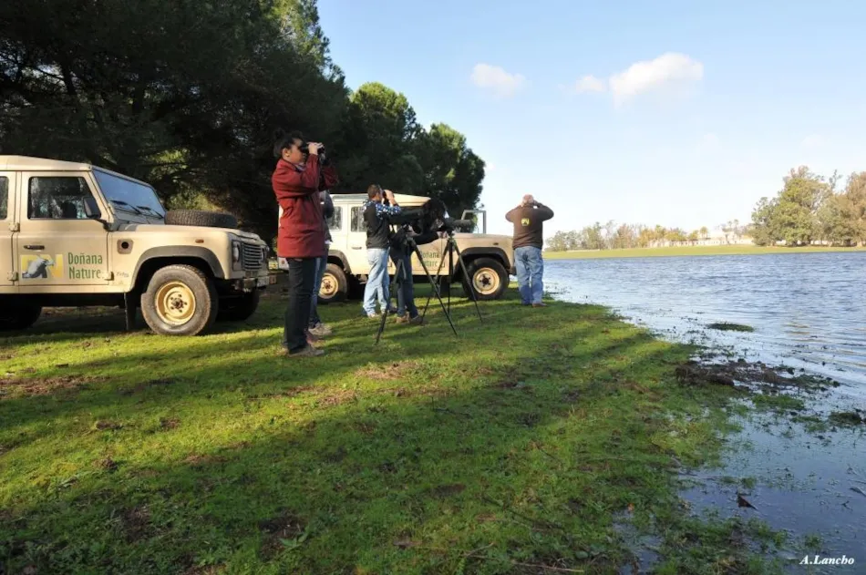 Huttopia Parque de Doñana