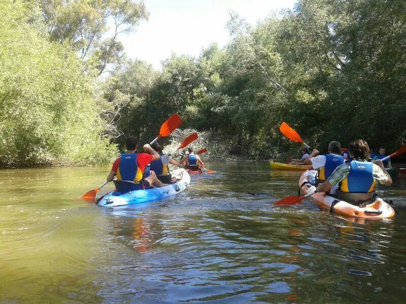 Huttopia Parque de Doñana