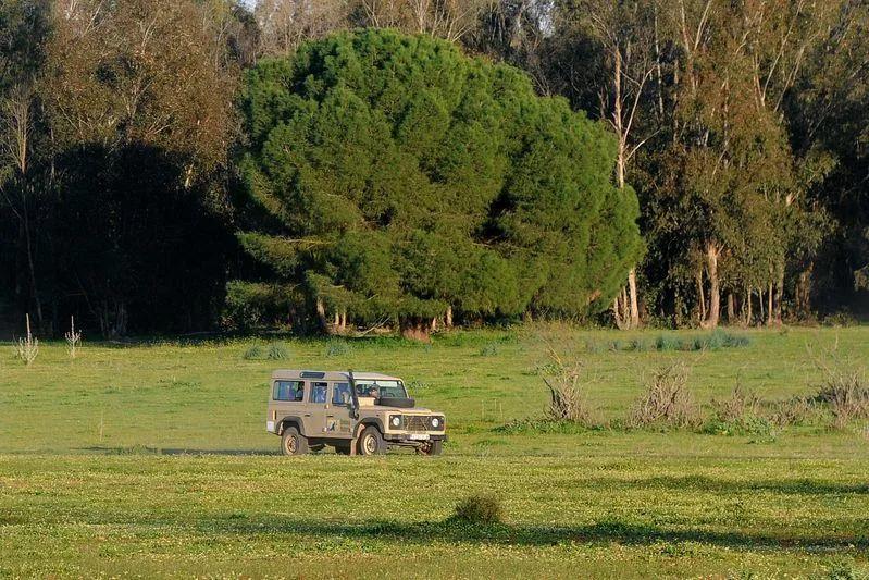 Huttopia Parque de Doñana