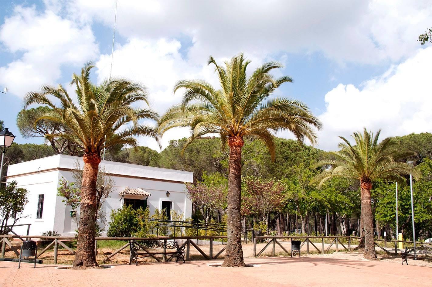 Huttopia Parque de Doñana — Photo 9