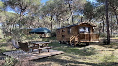 Gypsy Caravan — 1