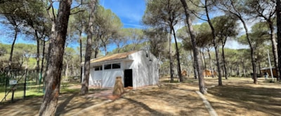 Huttopia Parque de Doñana