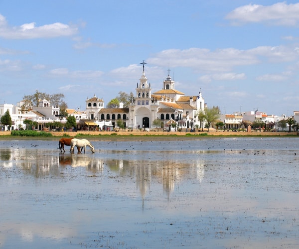 Huttopia Parque de Doñana — Photo 10