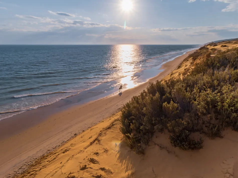 Huttopia Parque de Doñana