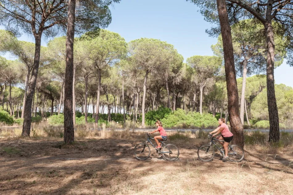 Huttopia Parque de Doñana
