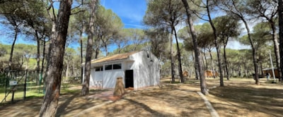 Comfort Camping pitch — 5