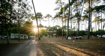 Stellplatz - Großer Stabilisierter Wohnmobilstellplatz - Siblu - Mimizan Le Lac