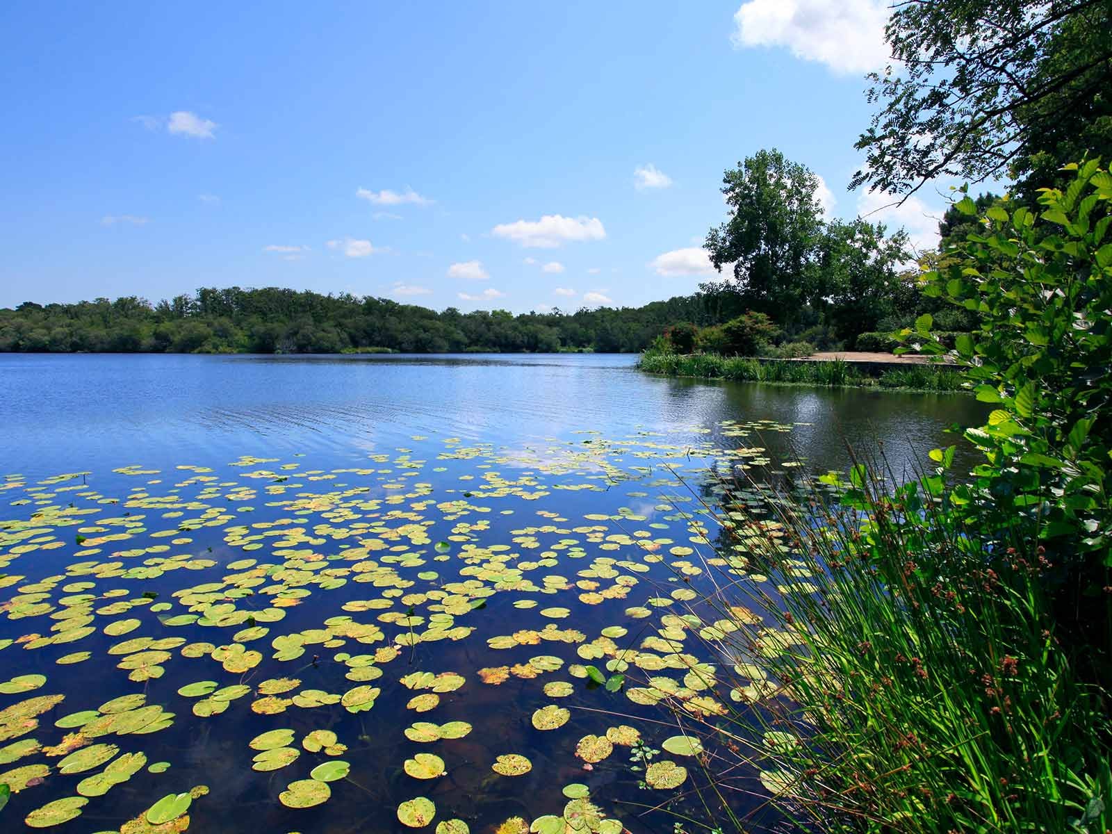 Siblu - Mimizan Le Lac — Photo 10