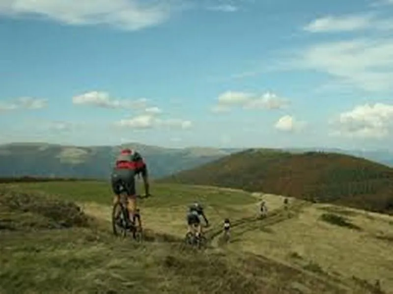 Domaine du Château - Epinal