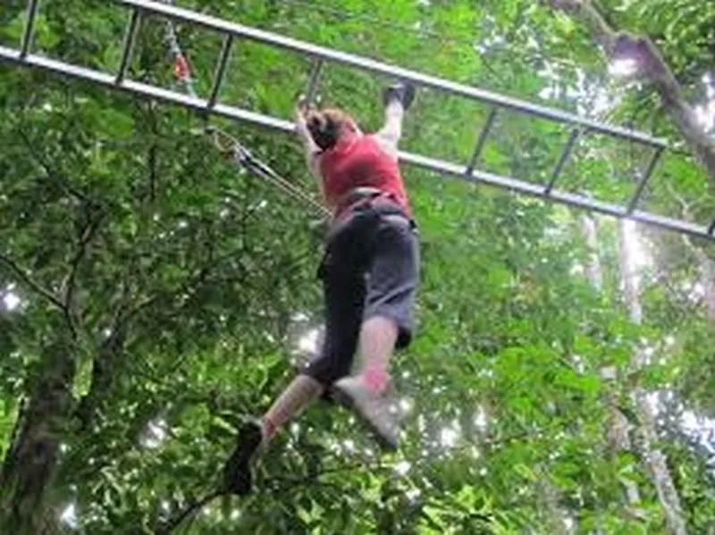 Domaine du Château - Epinal