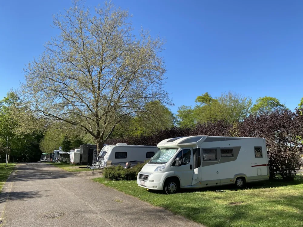 Emplacement - Camping-Car Forfait Confort 2 Personnes (Elec 10A, Sanitaires) - Domaine du Château - Epinal