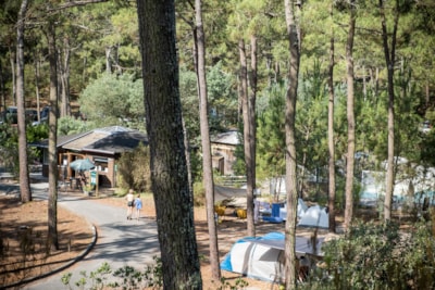 Comfort Camping pitch — 2