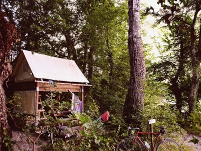 Bivouac hut on stilts under the trees