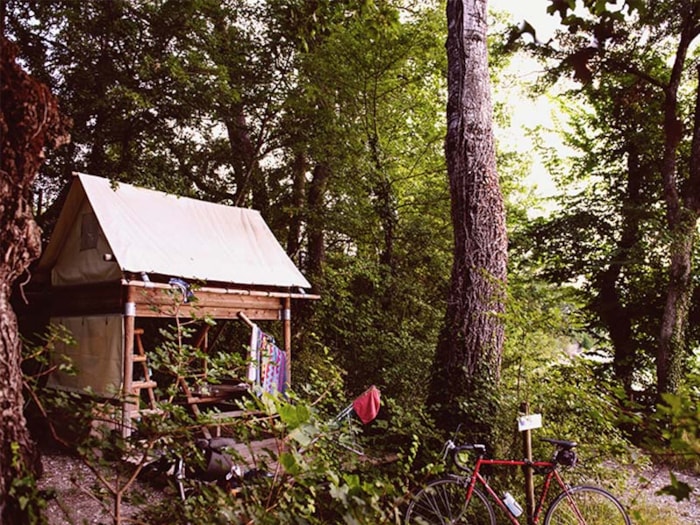 Cabane Bivouac Sur Pilotis Sous Les Arbres