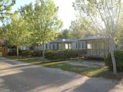 Mobile home Sirocco 31m² (2 bedrooms) sheltered terrace + TV