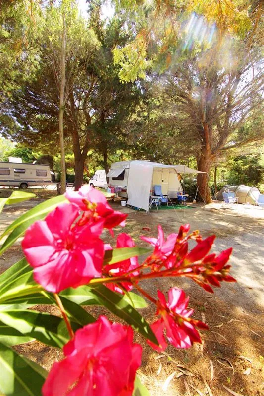Camping Rives des Corbières