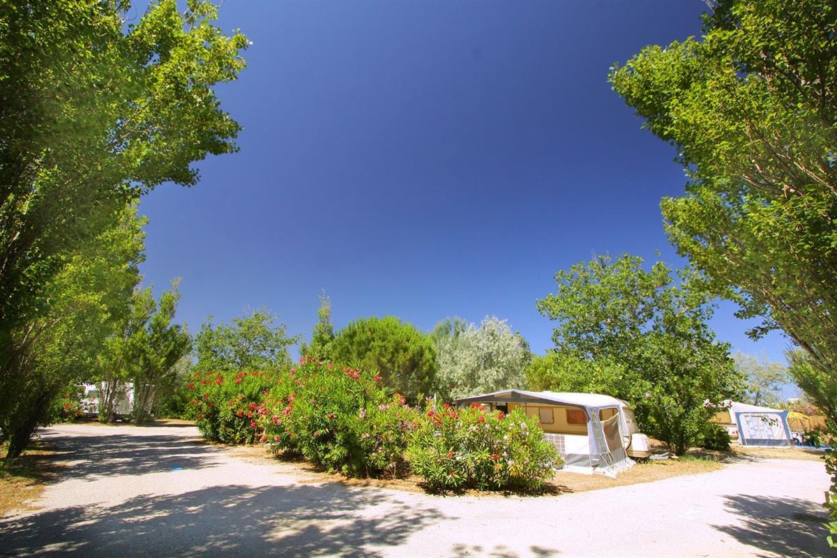Camping Rives des Corbières — Photo 4