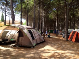 Camping Rives des Corbières - image n°2 - 