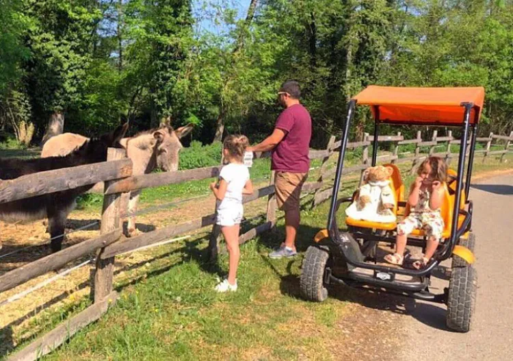 Camping Domaine de la Dombes - image n°3 - Ain