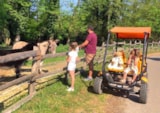 Foto #3 van Camping Domaine de la Dombes
