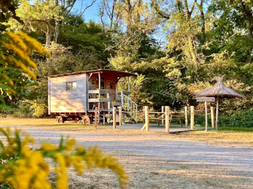Location - Roulotte - image n°2 - Camping Domaine de la Dombes