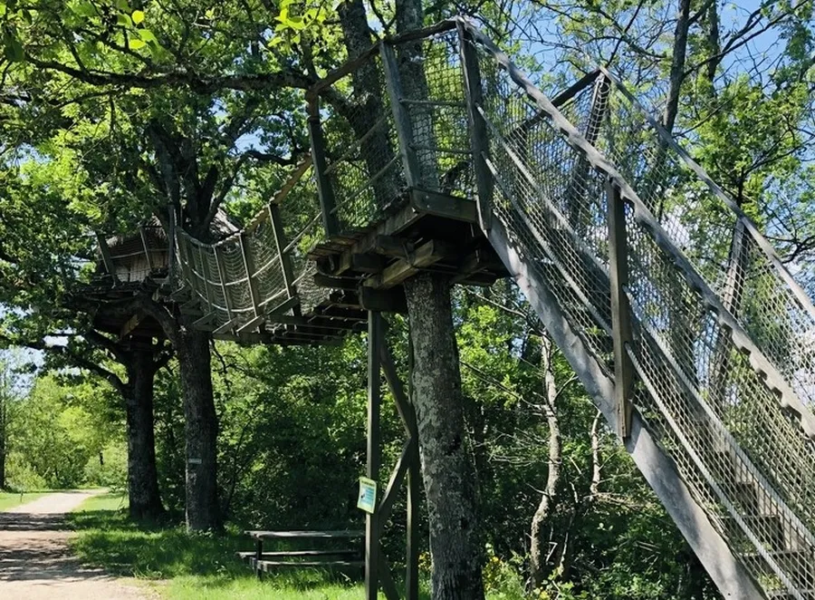Location - Oiseau - Camping Domaine de la Dombes