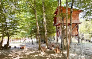  - Reindeer - Camping Domaine de la Dombes