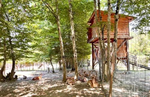 Location - Renne - image n°1 - Camping Domaine de la Dombes