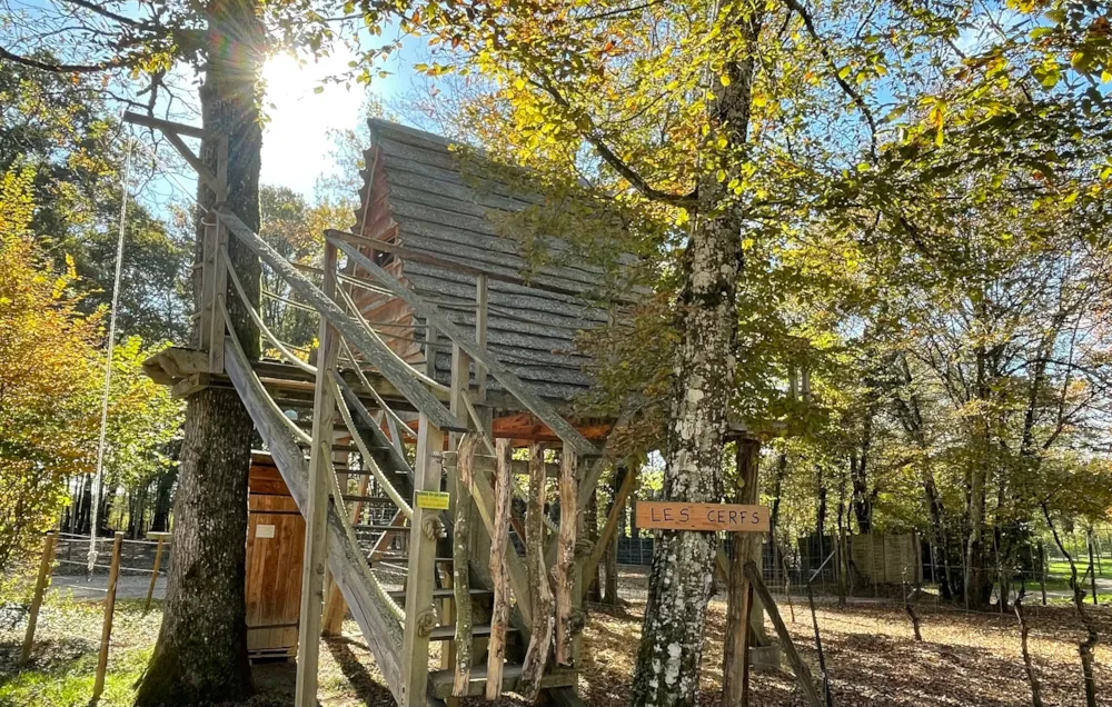 Location - Cerf - Camping Domaine de la Dombes
