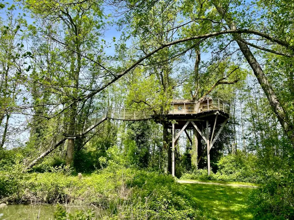 Location - Feuille - Camping Domaine de la Dombes