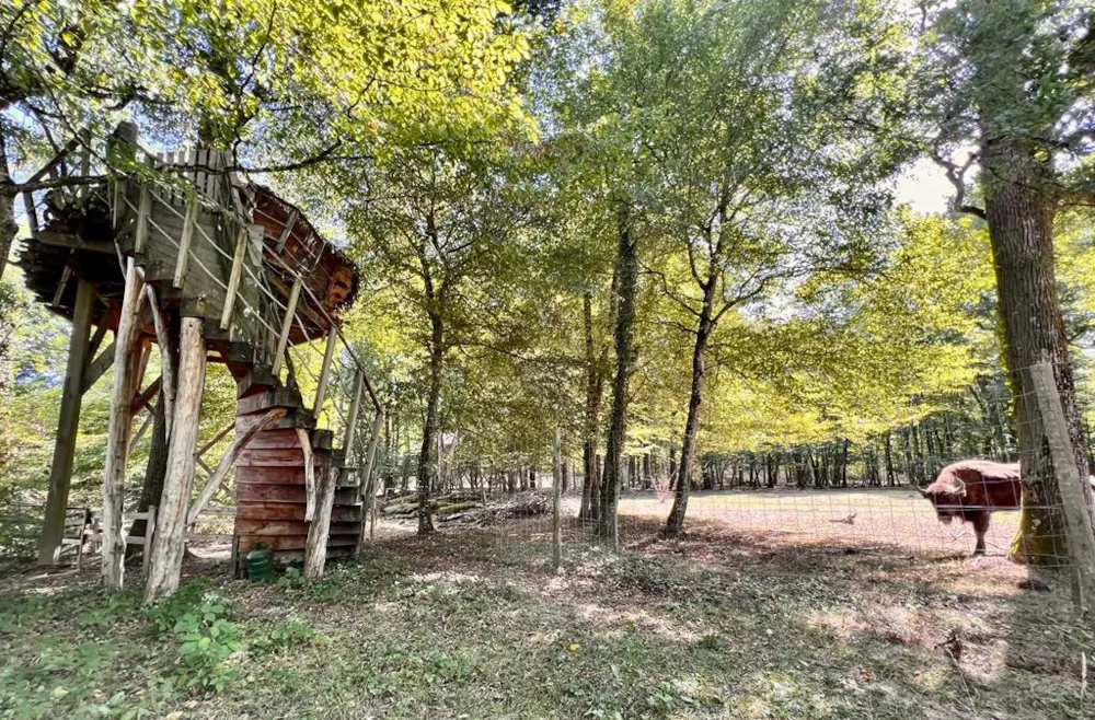 Location - Chasseur - Camping Domaine de la Dombes