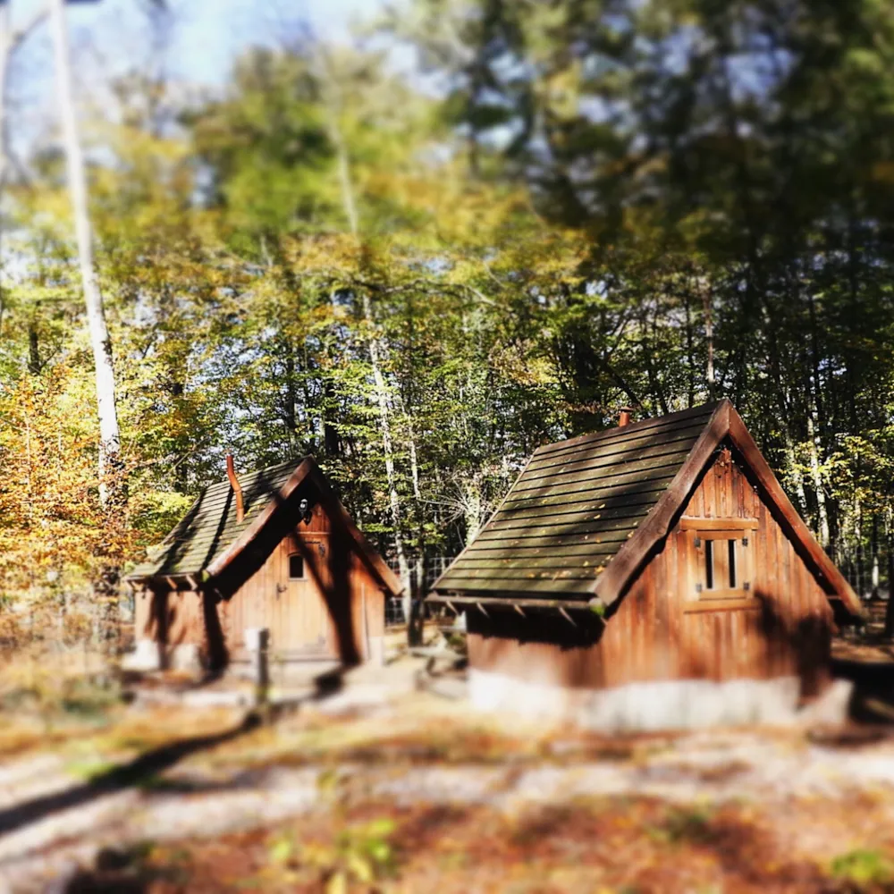 Location - Troll Familiale - Camping Domaine de la Dombes