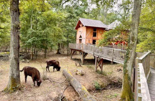 Location - Ranch Spa - image n°4 - Camping Domaine de la Dombes
