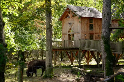 Location - Ranch Spa - image n°6 - Camping Domaine de la Dombes