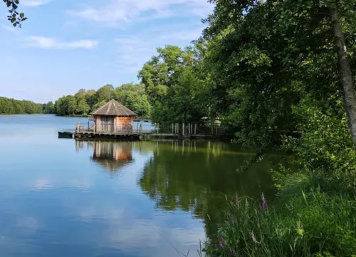 Location - Jonc - image n°4 - Camping Domaine de la Dombes