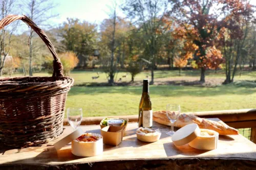 Location - Sika - image n°1 - Camping Domaine de la Dombes