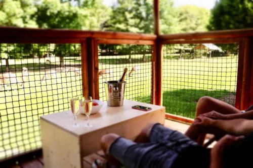 Location - Sika - image n°3 - Camping Domaine de la Dombes