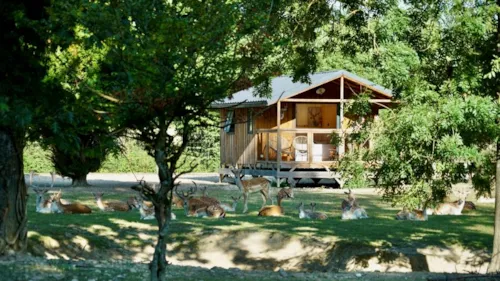 Location - Sika - image n°4 - Camping Domaine de la Dombes