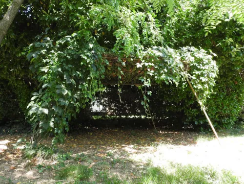 Emplacement - Emplacement - image n°4 - Camping le Chaudebry