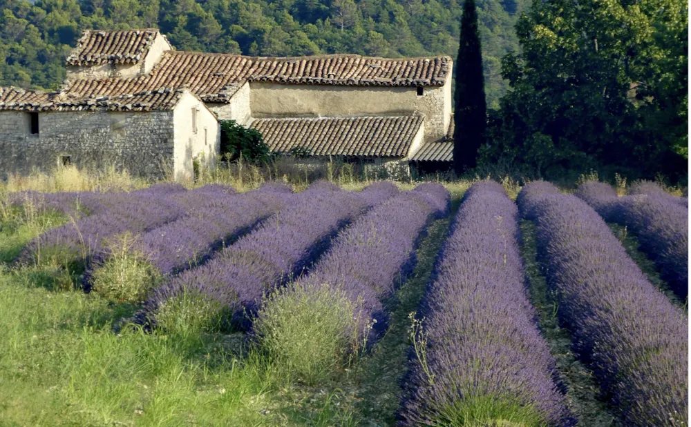 Camping de la Colline