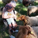 Foto #24 van Camping de la Colline