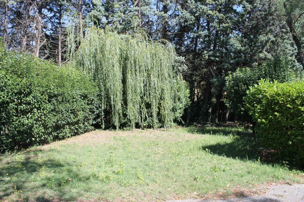 Emplacement - Forfait Nature Solo (Sans Électricité) - Flower Camping Provence Vallée