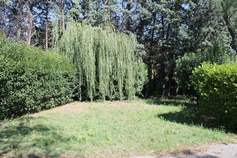 Forfait Nature Solo (Sans Électricité)