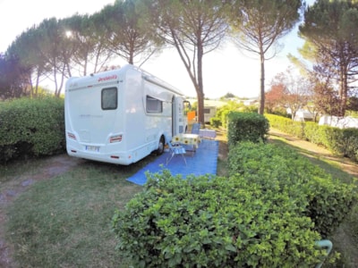 Comfort Package (with electricity) — 4